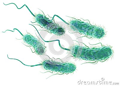 Escherichia coli bacteria E. coli. Scientifically accurate 3D illustration Stock Photo