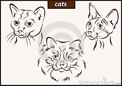 Illustration shows a cats Vector Illustration