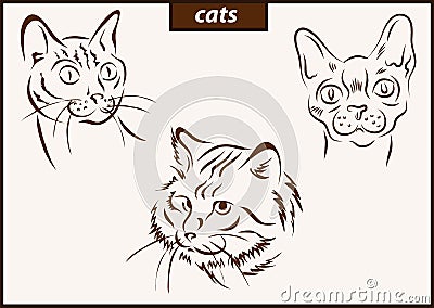 Illustration shows a cats Vector Illustration