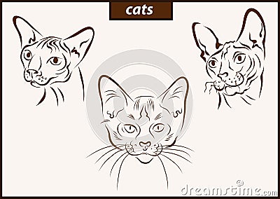 Illustration shows a cats Vector Illustration