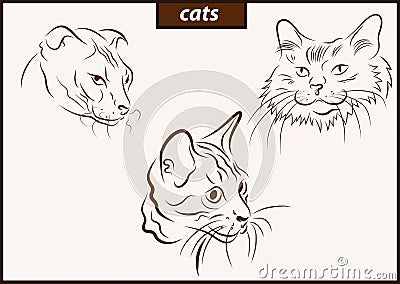 Illustration shows a cats Vector Illustration