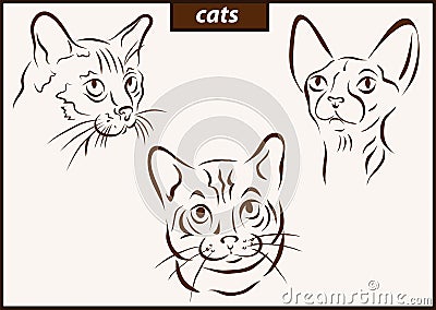 Illustration shows a cats Vector Illustration