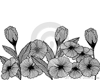 illustration, sketch of hand drawn flowers poppies, black outline, elegant design Cartoon Illustration