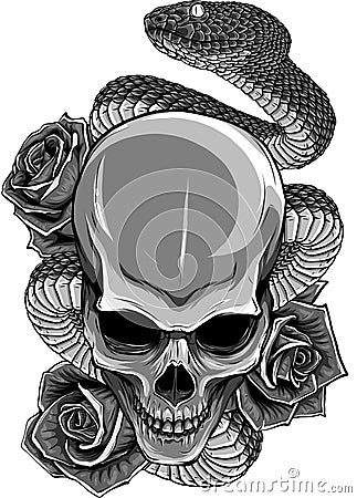 vector illustration of skull, roses and snake Vector Illustration