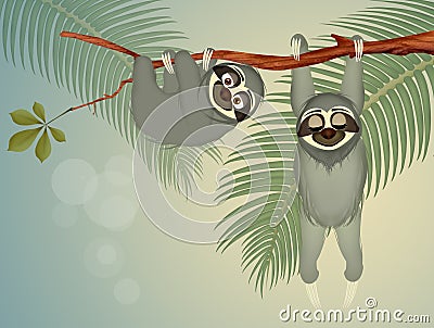 Sloths hanging on branch Stock Photo