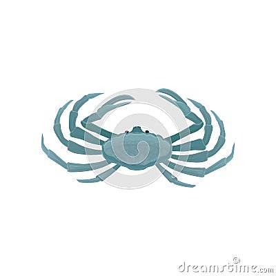 Blue crab with five pairs of legs. Marine animal with claws. Sea creature. Flat vector for postcard or advertising flyer Vector Illustration