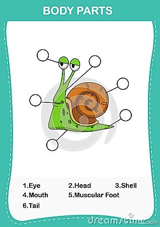 Illustration of snail vocabulary part of body Vector Illustration