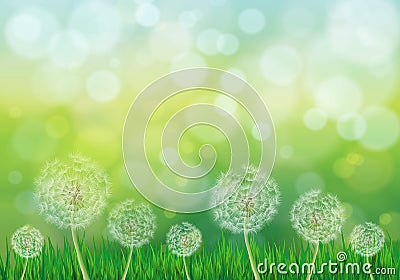 Illustration of spring green background with white dandelions Vector Illustration