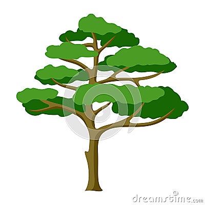 Illustration of spruce tree. Forest or park landscape element. Seasonal image. Vector Illustration