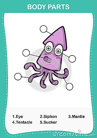 Illustration of squid vocabulary part of body Vector Illustration