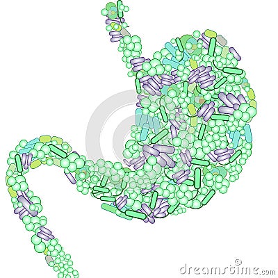 Illustration of a stomach shaped with green and purple bacteria Stock Photo