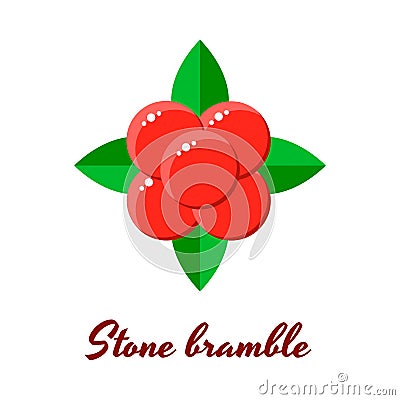 Illustration, stone bramble, forest red berries Stock Photo