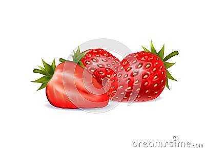 Illustration of a strawberry on white background Vector Illustration