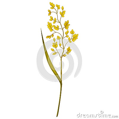 Illustration of stylized cereal grass. Decorative meadow plant. Twig for design and decoration. Vector Illustration