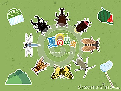 Summer insects Vector Illustration