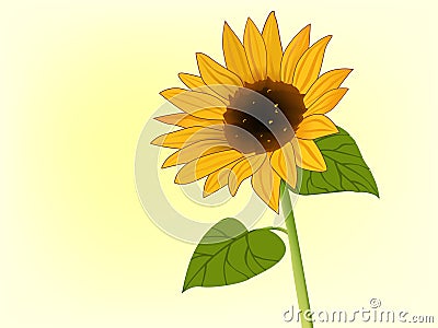 Illustration of sunflower in bloom Vector Illustration