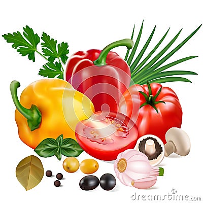sweet peppers with tomatoes, garlic, olives, mushrooms and onions Vector Illustration