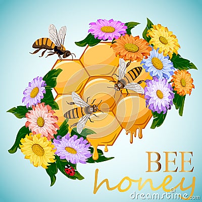 Illustration with text and honeycomb. Vector Illustration