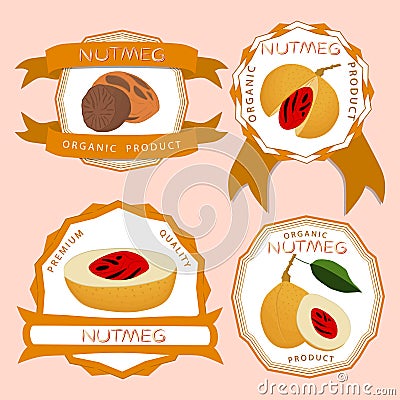 Illustration on theme big set different types spice nutmeg Vector Illustration