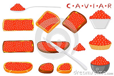Illustration on theme big set various types fish caviar Vector Illustration