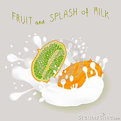 Illustration on theme falling kiwano at splash sugary cow milk Vector Illustration