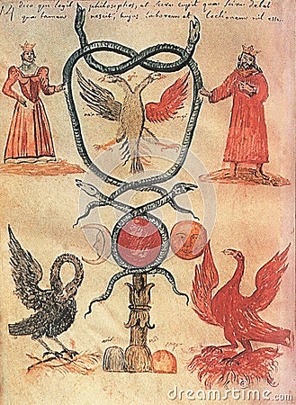 alchemical illustration of pelican and phoenix Cartoon Illustration