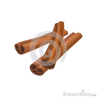 Illustration of three brown cinnamon sticks. Aromatic condiment for dishes. Culinary theme. Design for promo poster Vector Illustration