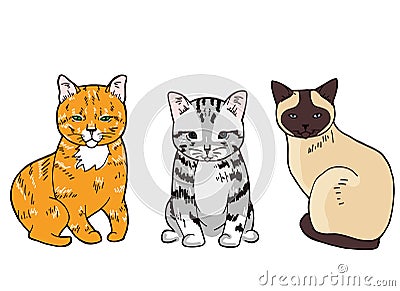 Illustration of three colorful sitting cats on white background Vector Illustration