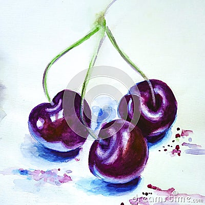 Illustration three juicy cherries painted in watercolor Cartoon Illustration