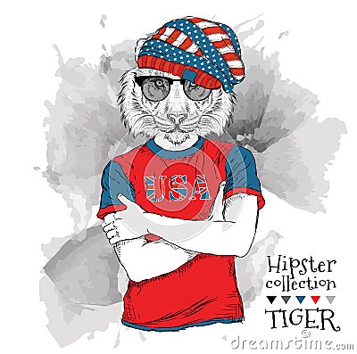 Illustration of tiger hipster dressed up in the glasses and in the t-shirt with print of USA flag. Vector illustration. Vector Illustration