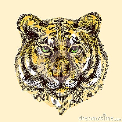 Illustration with tiger Vector Illustration