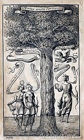 Illustration of a tree of life from a 19th-century alchemy book Cartoon Illustration