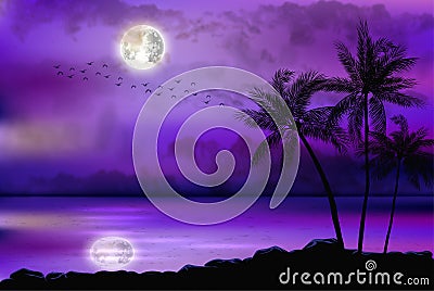 Illustration of tropical beach at night Vector Illustration