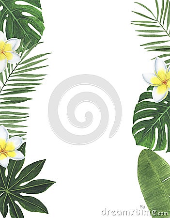 Tropics Watercolor illustrations Botanical decorations Decoration Postcard Invitation design decoration congratul Cartoon Illustration