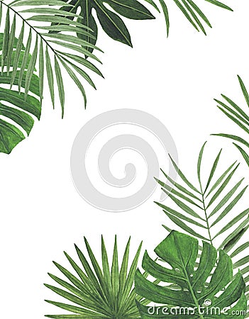 Tropics Watercolor illustrations Botanical decorations Decoration Postcard Invitation design decoration congratulation Cartoon Illustration