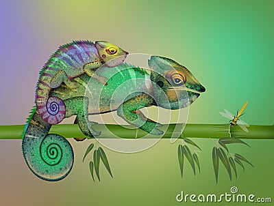 Two camouflaged chameleons Stock Photo