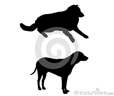 illustration. Two dogs silhouette, adult, black color, white background Vector Illustration