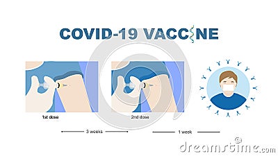 Illustration of vaccine injection in two doses and a man with antibody against covid-19 Vector Illustration