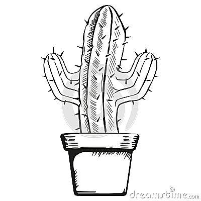 Illustration vase with a cactus in art line Vector Illustration