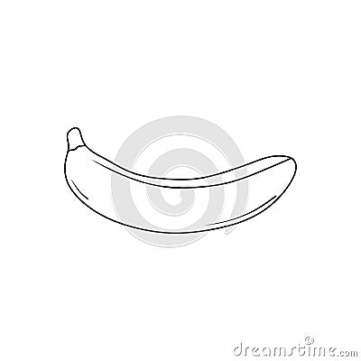 Illustration vector of banana line icon. banana fruit. banana sketch Vector Illustration