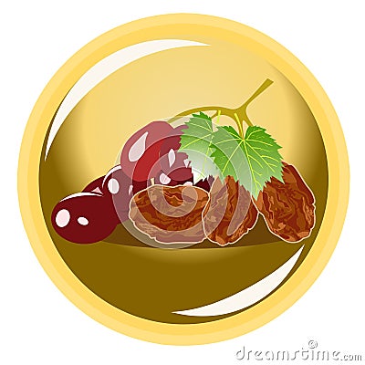 Illustration vector of grapes and raisin Vector Illustration