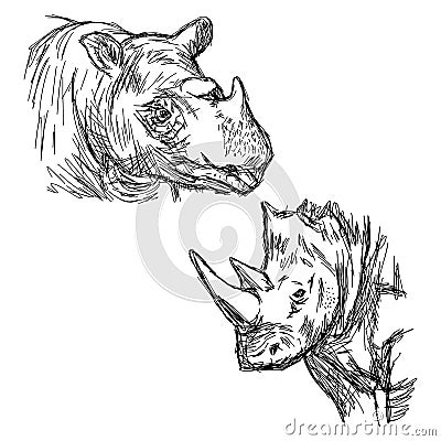 Illustration vector hand drawn doodle closeup rhinoceros isolate Vector Illustration