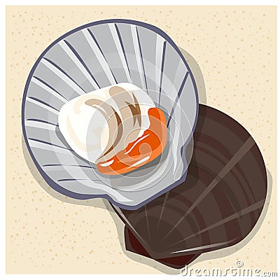 Illustration vector scallop at the beach suitable for decoration icon symbol design brown background Vector Illustration