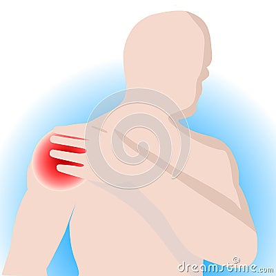 Illustration vector of shoulder bone Vector Illustration