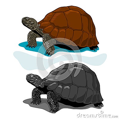 Illustration of Vector Tortoises,Woodblock Style Vector Illustration