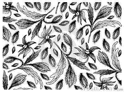Hand Drawn of Borage Seeds on White Background Vector Illustration