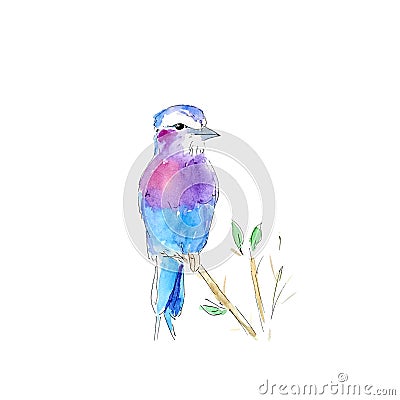 Illustration watercolor bird on the branch Vector Illustration