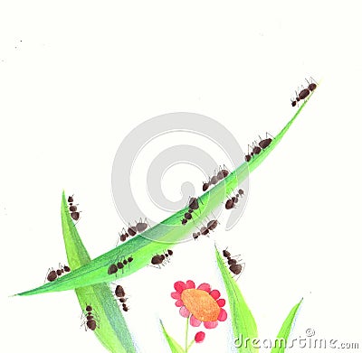 Ants walking along a blade of grass and a flower Cartoon Illustration