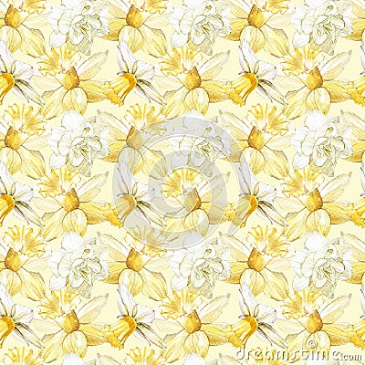 Illustration in watercolor of a Narcissus flower. Floral card with flowers. Botanical illustration seamless pattern. Cartoon Illustration