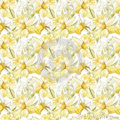 Illustration in watercolor of a Narcissus flower. Floral card with flowers. Botanical illustration seamless pattern. Cartoon Illustration